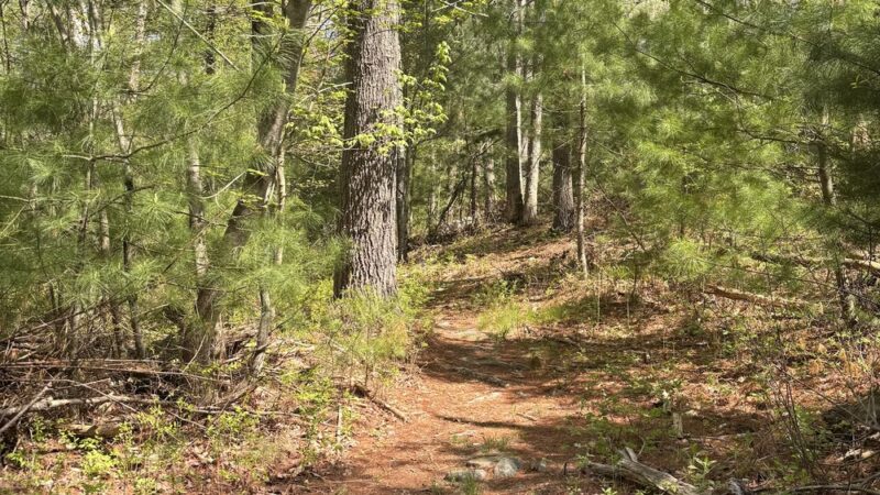 Village street walking path, parking lot - Millis, MA