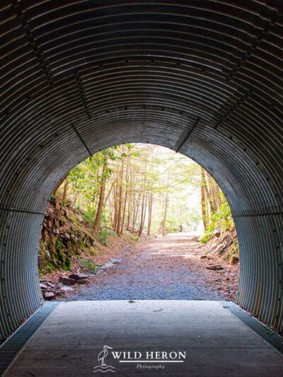 Railway Tunnel at Cherry Run Road - Millmont, PA