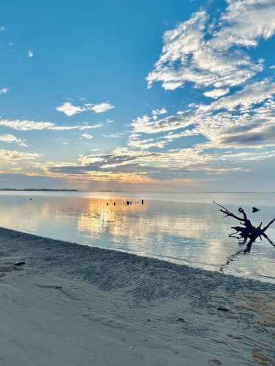 Marian R. Okie Memorial Wildlife Preserve - Millsboro, DE