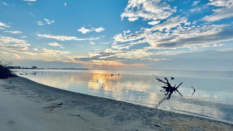 Marian R. Okie Memorial Wildlife Preserve - Millsboro, DE