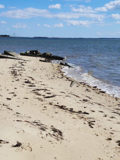 Marian R. Okie Memorial Wildlife Preserve - Millsboro, DE
