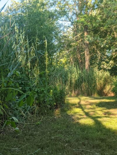 Brook Park - Milltown, NJ