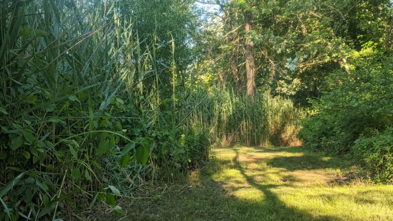 Brook Park - Milltown, NJ