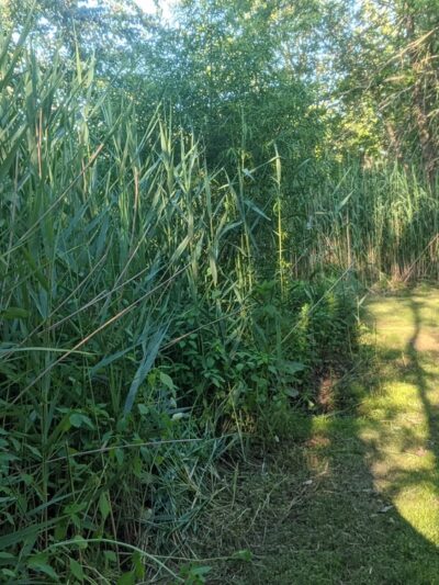 Brook Park - Milltown, NJ