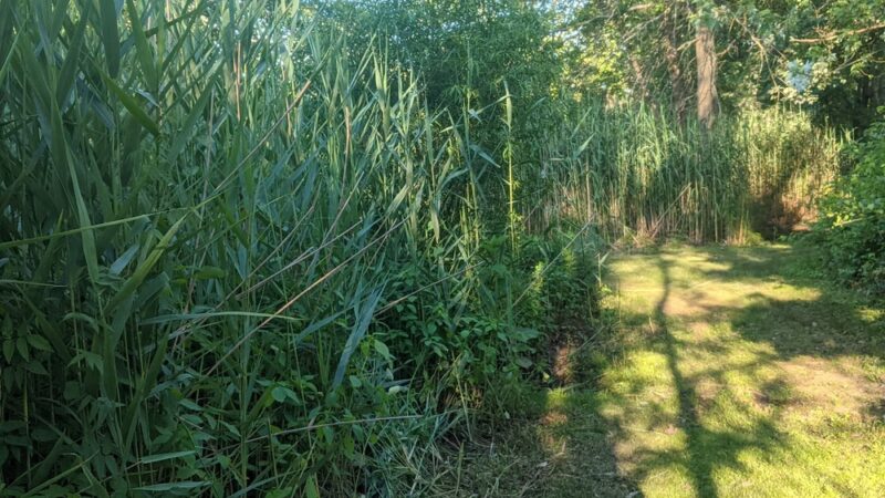 Brook Park - Milltown, NJ