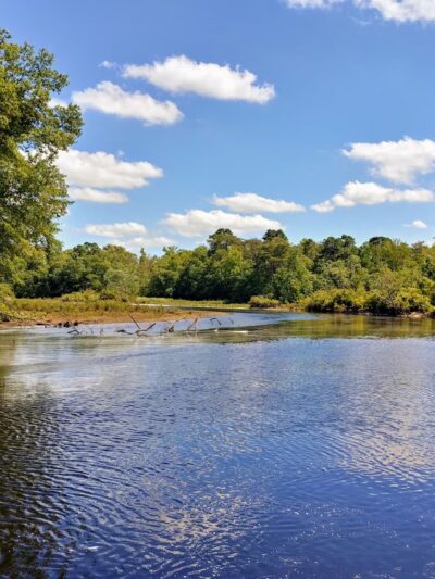Sharp Street Park - Millville, NJ