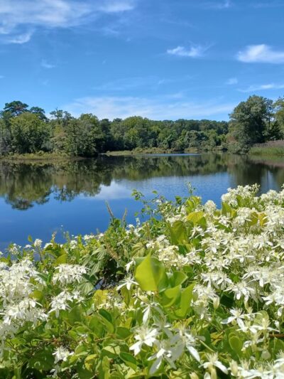 Sharp Street Park - Millville, NJ