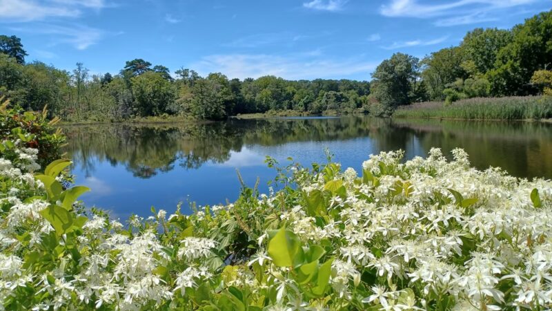 Sharp Street Park - Millville, NJ