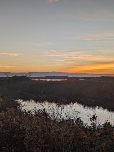 Coyote Creek Trail - Milpitas, CA