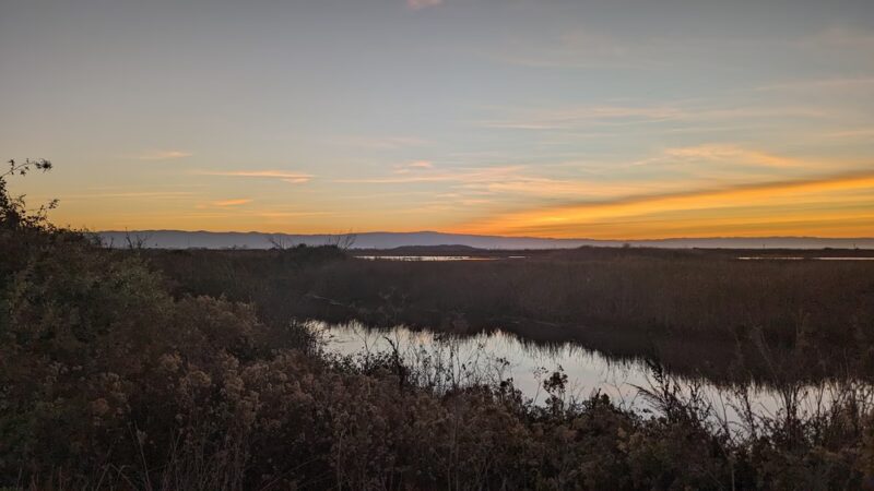 Coyote Creek Trail - Milpitas, CA