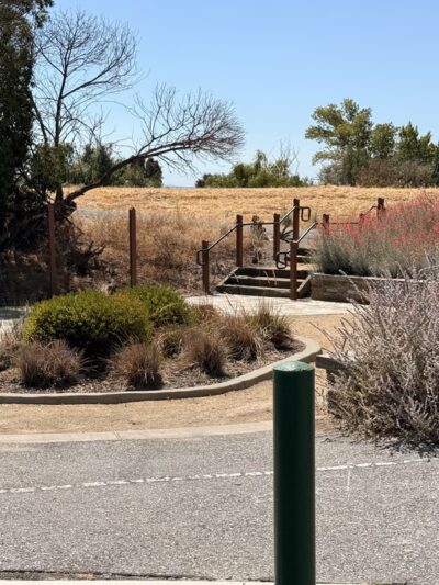 Coyote Creek Trail - Milpitas, CA