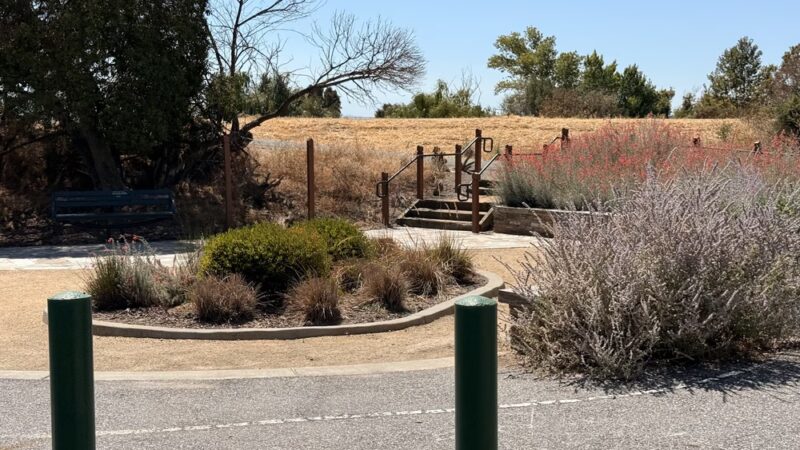 Coyote Creek Trail - Milpitas, CA