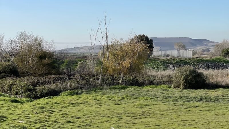 Coyote Creek Trail - Milpitas, CA