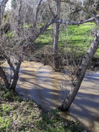 Coyote Creek Trail Head at E. Tasman - Milpitas, CA