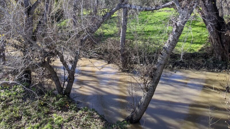 Coyote Creek Trail Head at E. Tasman - Milpitas, CA
