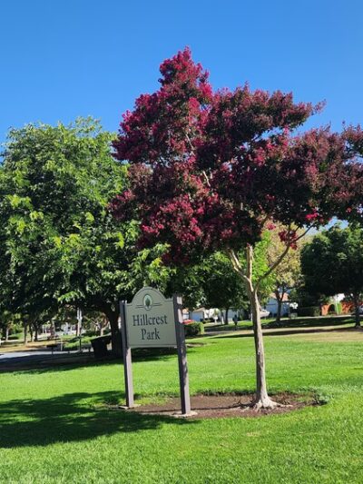 Hillcrest Park - Milpitas, CA