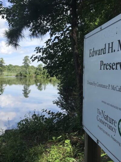 Edward H. McCabe Preserve - Milton, DE