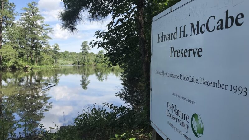 Edward H. McCabe Preserve - Milton, DE