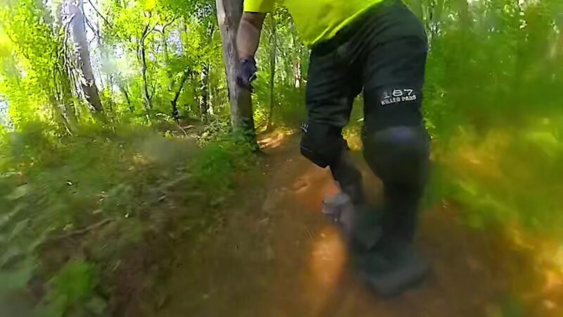 Edward H. McCabe Preserve - Milton, DE