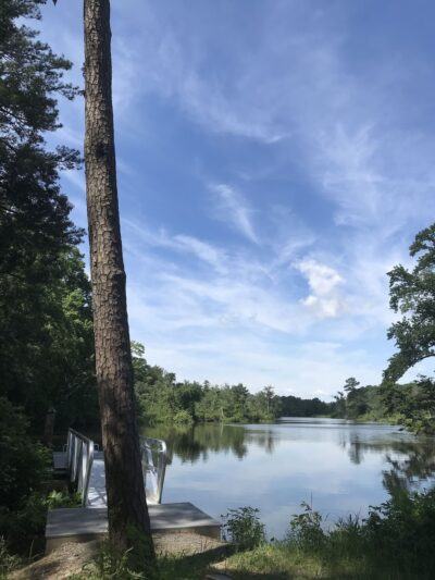 Edward H. McCabe Preserve - Milton, DE