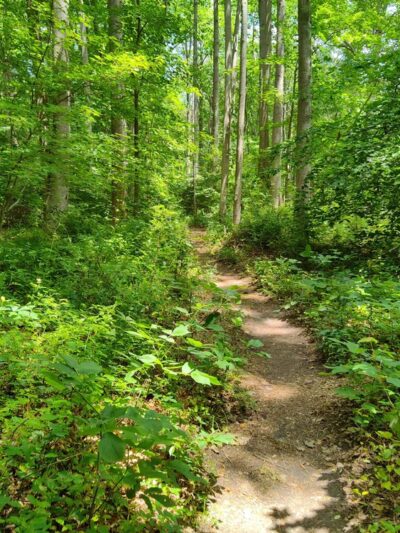Edward H. McCabe Preserve - Milton, DE