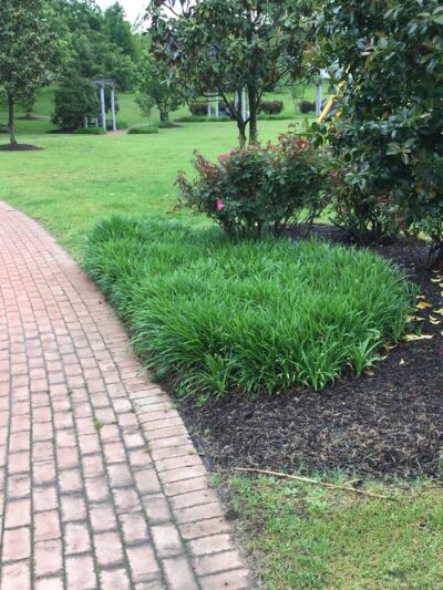 Mill Park - Milton, DE