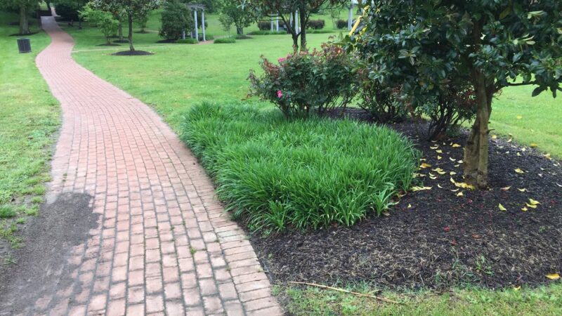 Mill Park - Milton, DE