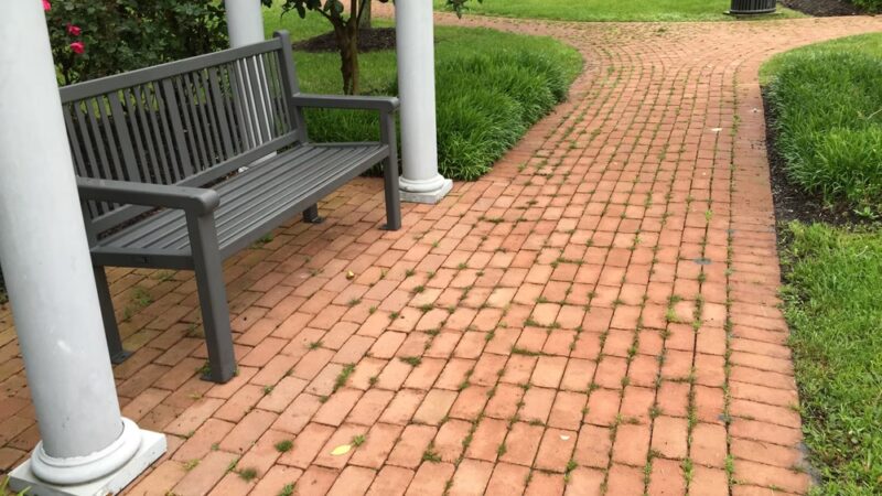 Mill Park - Milton, DE