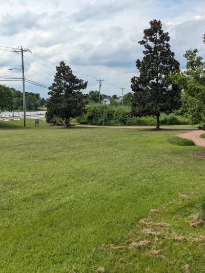 Mill Park - Milton, DE