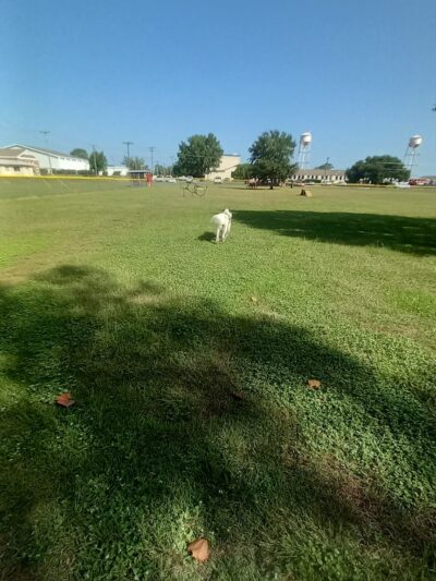 Wiggley Field - Milton, FL