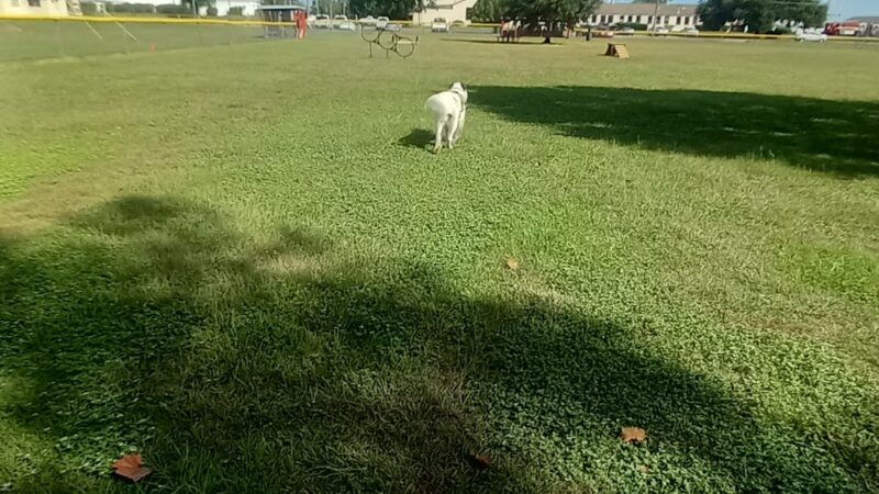 Wiggley Field - Milton, FL