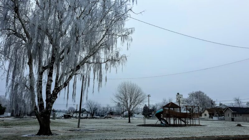 Freewater Park - Milton-Freewater, OR