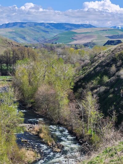 Marie Dorian Park - Milton-Freewater, OR