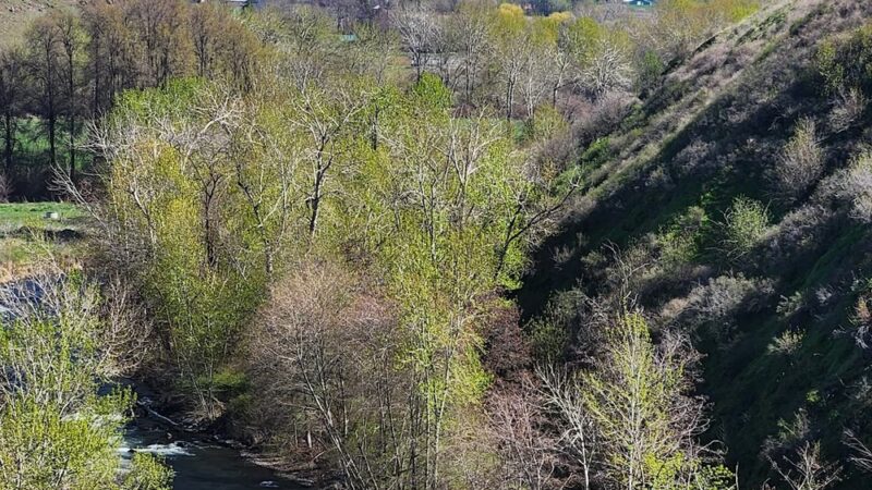 Marie Dorian Park - Milton-Freewater, OR