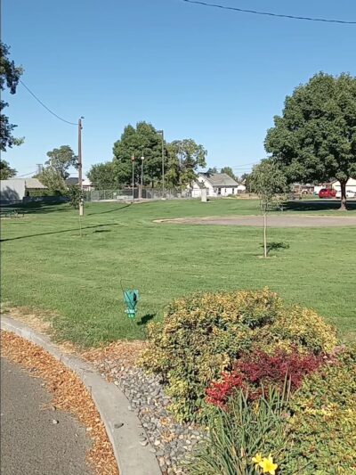 Milton-Freewater Skatepark - Milton-Freewater, OR