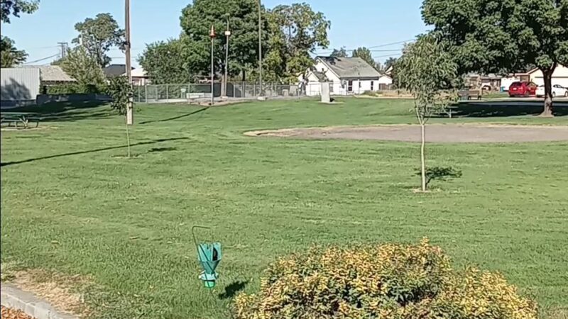 Milton-Freewater Skatepark - Milton-Freewater, OR