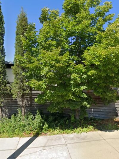 Riverwalk dog park south - Milwaukee, WI