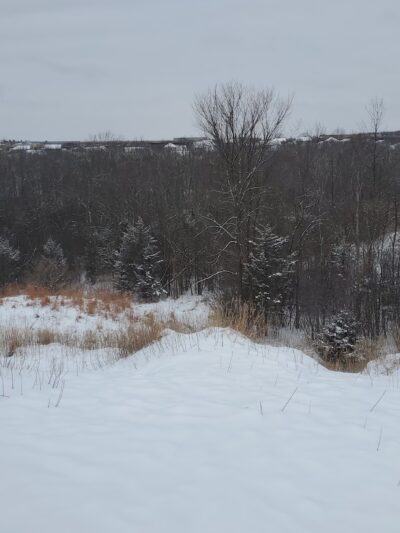 Granville Dog Exercise Area Parking - Milwaukee, WI