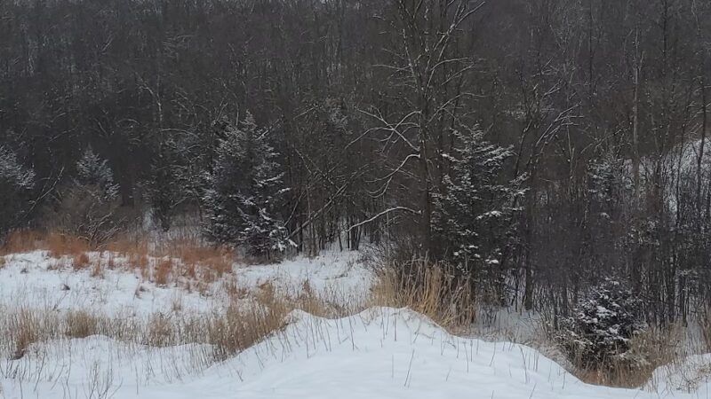 Granville Dog Exercise Area Parking - Milwaukee, WI
