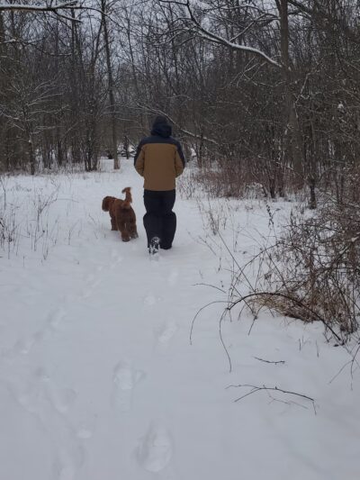 Granville Dog Exercise Area Parking - Milwaukee, WI