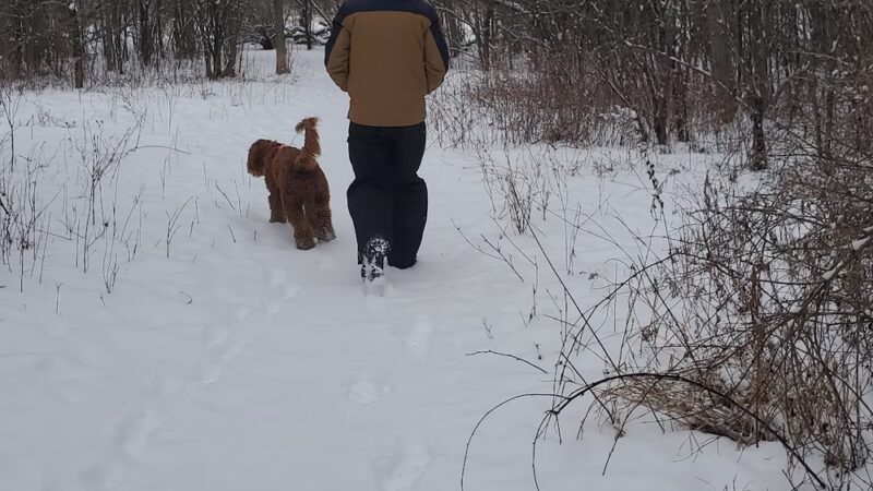 Granville Dog Exercise Area Parking - Milwaukee, WI