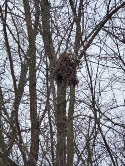 Granville Dog Exercise Area Parking - Milwaukee, WI