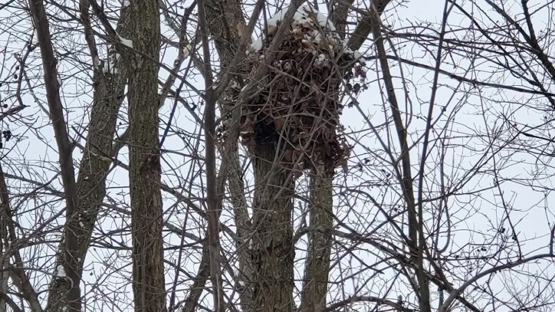 Granville Dog Exercise Area Parking - Milwaukee, WI