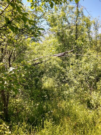 Holt Park - Milwaukee, WI