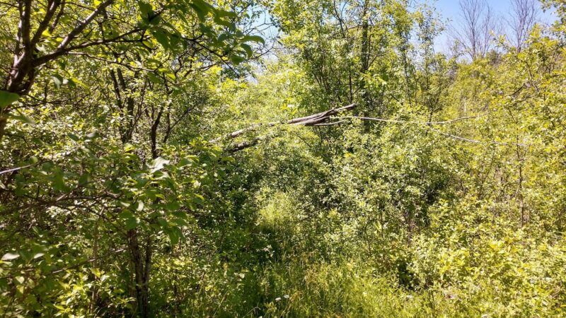 Holt Park - Milwaukee, WI