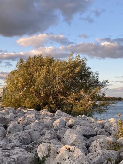 Lakeshore State Park - Milwaukee, WI