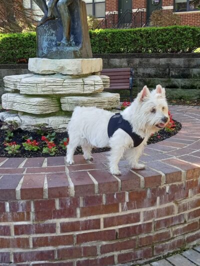 Marshall Park - Milwaukee, WI