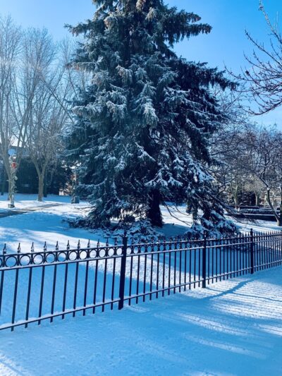 Marshall Park - Milwaukee, WI