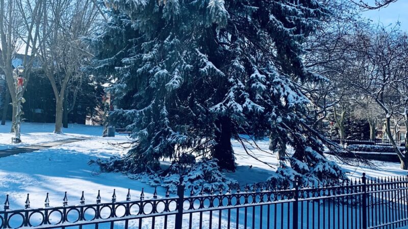 Marshall Park - Milwaukee, WI