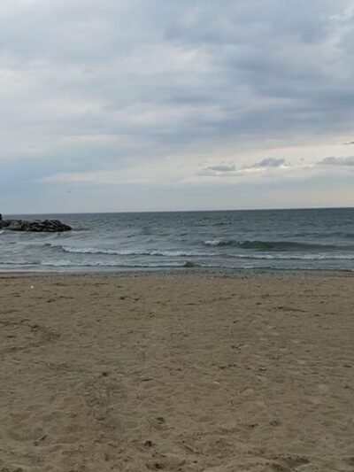 McKinley Park - Milwaukee, WI